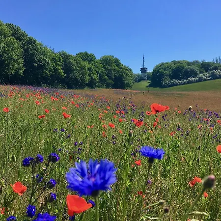 Haus Concordia 2 Moewennest Thiessow