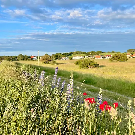 Haus Concordia 2 Moewennest Apartman Thiessow